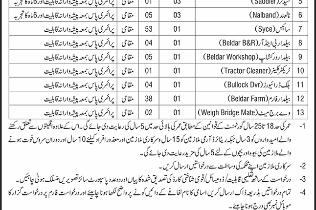 Ad Nawa i Waqt Job 20251214 001